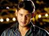 'Dookudu' and 'Businessman', T-Town, entire industry running behind success, Prince mahesh babu