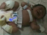 Ghulam Nabi Azad., MP hospital, stray pig takes away newborn baby from mp hospital campus, Mr ghulam nabi azad