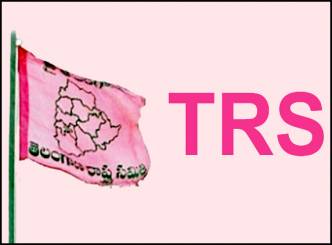 TRS Plenary postponed