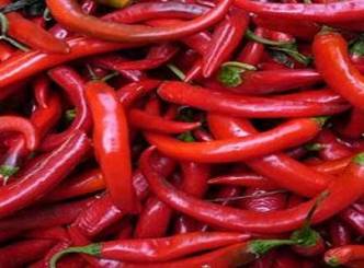 Chillies could cure Obesity problems 