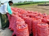 Onion prices, Onion Farmers, farmers in tears as onion price crashes, Onions