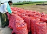 Onion Price down, Onion Price down, farmers in tears as onion price crashes, Onion farmers