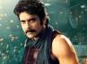 king nagarjuna, hello brother, bhai goes on location from today, Bhai shooting