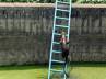 Sukna Forest rescue team, wild beast, slideshow witty leopard climbs ladder to get out of water reservoir, Sukna forest rescue team
