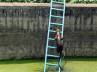 water reservoir, jungle cat, slideshow witty leopard climbs ladder to get out of water reservoir, Rescue team