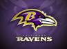 american sporting, american sporting, the baltimore ravens succeeds super bowl, Super bowl