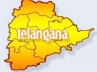 Telangana, Chidambaram., telangana atma gauravam day on december 09, Unified andhra
