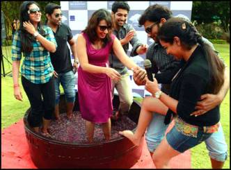 Grape Stomping in Novotel