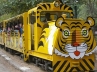 freak Accident at Zoo, Venkataswamy serious, freak accident zoo train hits a man at hyderabad, Nehru zoo