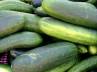 preparation of Cucumber Soup, refreshing summer soup, yoghurt and cucumber soup, Refreshing summer soup