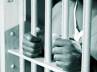 odd news, odd news, bizarre us citizen goes behind the bars for striking wife with genitals, Odd news