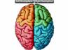 logic, innovation, what is creativity brain hemispheres, Creativity