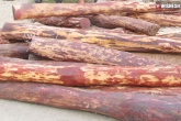 Red sandal wood, Seshachalam, a chinese accused in red sandalwood smuggling, Smuggling rs 1 2 cr