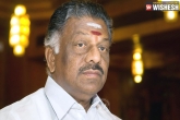 TTV Dinakaran,  O Panneerselvam, aiadmk party split temporary says tn former cm o panneerselvam, O panneerselvam