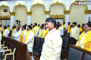 AP Assembly Passes 5% Reservation Bill For Kapus