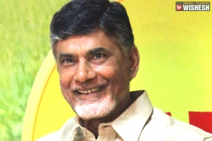 AP CM Trying Every Trick Hard To Win Nandyal By-Elections