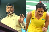 Chandrababu Naidu, Chandrababu Naidu, ap cm takes credit of p v sindhu s victory, Olympics