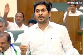AP Government, women safety, ap government in plans for a new law for women safety, Women safety