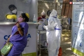 Andhra Pradesh, Andhra Pradesh Coronavirus latest, 11 303 new coronavirus cases reported in andhra pradesh, Andhra pradesh coronavirus