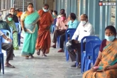Andhra Pradesh Coronavirus reports, Andhra Pradesh, ap continues to report high cases for coronavirus, Continues