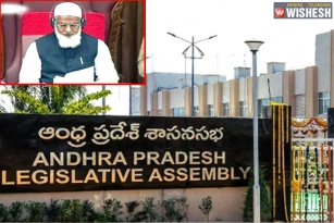 AP Legislative Council Votes Against Three Capitals