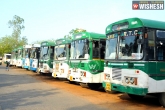 APSRTC, Bus Service, apsrtc to arrange 905 buses for krishna pushkaralu, Bus service