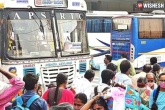 APSRTC Sankranthi buses, APSRTC, apsrtc to run 6 795 special bus services for sankranthi, Rtc