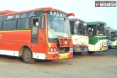 Andhra Pradesh, APSRTC special news, apsrtc to run special services for dasara, Service