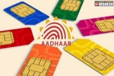 Aadhaar-SIM Linking, Aadhaar-SIM Linking, aadhaar sim linking should be done by feb 6 centre to sc, Aadhaar