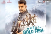 Operation Gold Fish movie, Operation Gold Fish, mahesh babu releases aadi s operation gold fish teaser, Operation gold fish