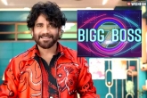 Bigg Boss Telugu 7 updates, Bigg Boss Telugu 7 latest, top actors on board for bigg boss telugu 7, Bigg boss 3