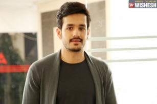 Akhil&#039;s Next Film Put on Hold