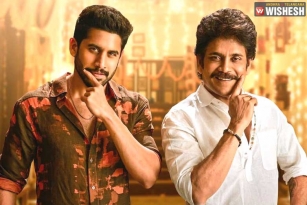 Sankranthi Focus Shifts Towards Akkinenis