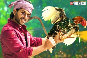 Ala Vaikunthapurramuloo Shaking Tollywood Box-Office