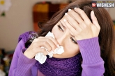 Allergy, Pollution, allergies more unbearable, Bear