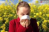 winter allergies next, winter allergies next, tips to prevent allergy, Allergies