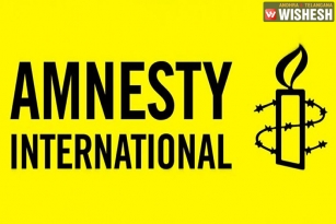 Amnesty International&rsquo;s hidden agenda