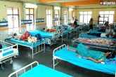 Andhra Pradesh Coronavirus tally, Andhra Pradesh Coronavirus latest, andhra pradesh covid 19 tally reaches the lowest, Coronavirus news