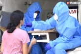 Andhra Pradesh Coronavirus reports, Andhra Pradesh Coronavirus, andhra pradesh reports 6341 new coronavirus cases, Andhra pradesh coronavirus
