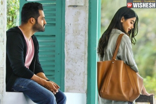 Aravindha Sametha Veera Raghava Two Days Collections