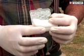 , , archaeologists unearth a 1 8 million year old human tooth, Year