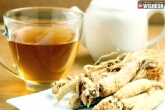Ashwagandha tea news, Ashwagandha tea updates, ashwagandha tea a great boost for your day, Tea benefits