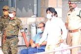 Atchem Naidu bail, Atchem Naidu bail petition, atcham naidu rejected bail for the third time, Atchem naidu