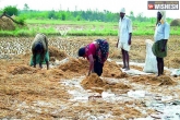 KCR, BJP, bjp leaders visits telangana farmers, Unseasonal rains