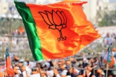 BJP net worth, ADR, bjp leads the list of richest parties, Democrat