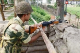 death, International border, bsf kills seven pak rangers along the ib, International border