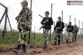 Pathankot, BSF, bsf launch search operation intruder shot dead, Shot dead