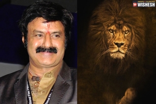 Balakrishna&#039;s next film Announced