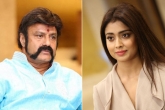 Balakrishna news, Balakrishna new film, nbk to romance shriya saran, Shriya saran