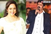 Movie, Sari, balayya gifts lepakshi saree to hema malini, Hema malini